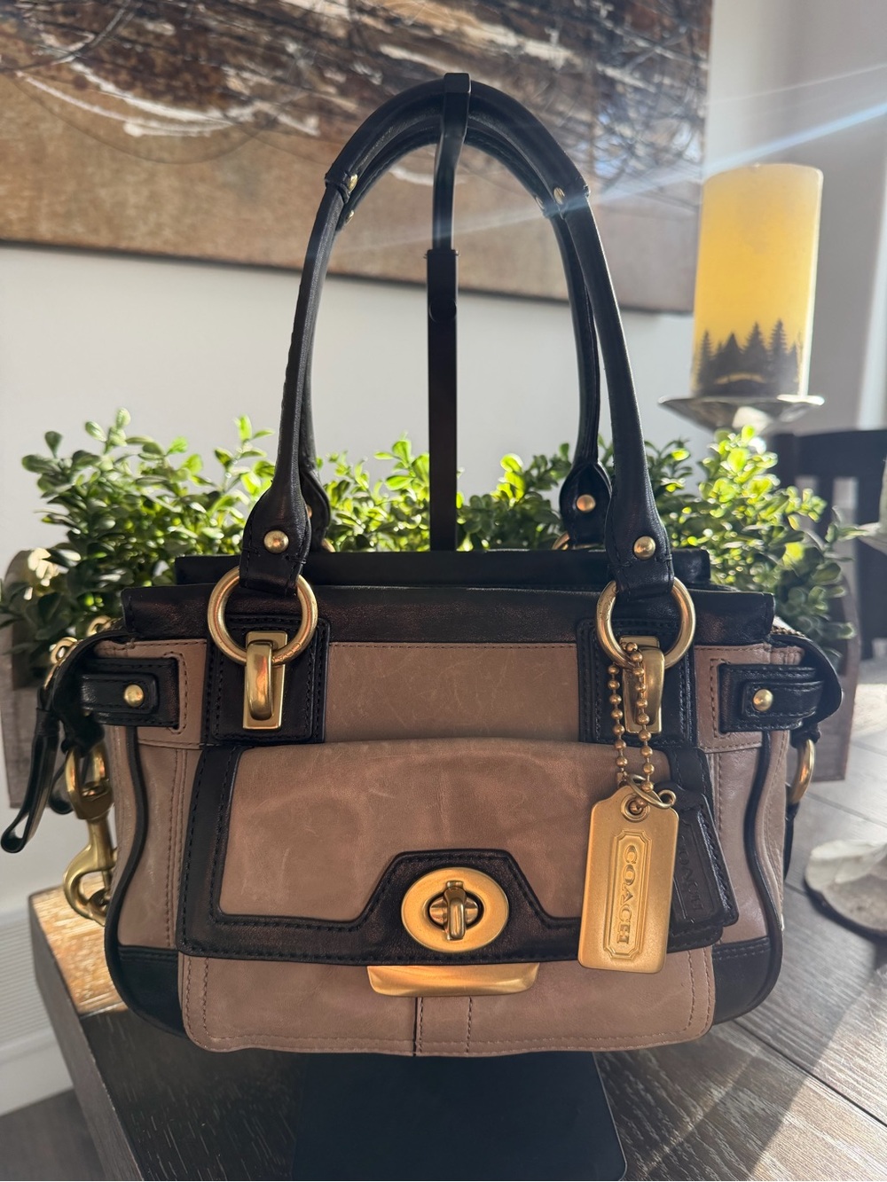 Coach Limited Ed Penelope Spectator Satchel